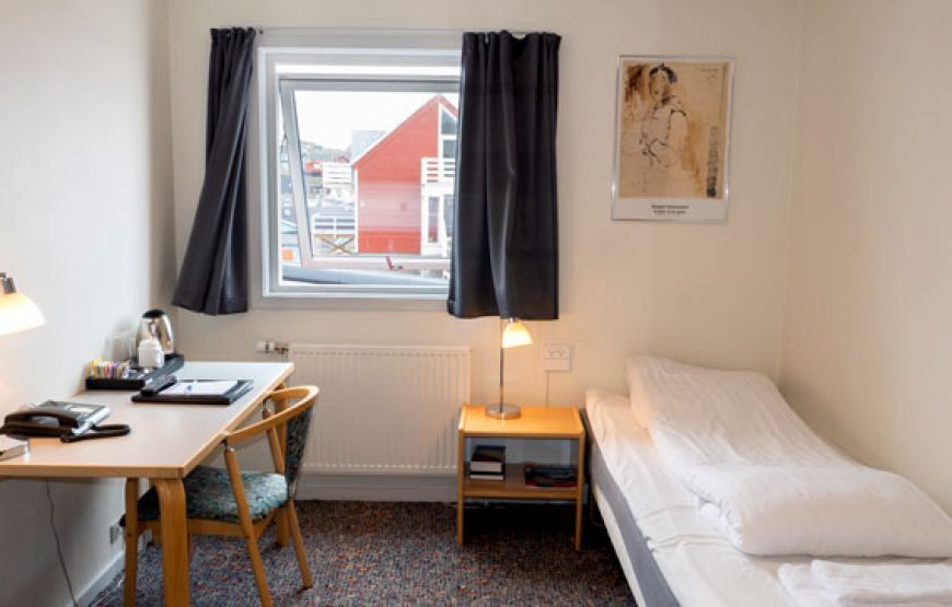 Single Standard PLUS